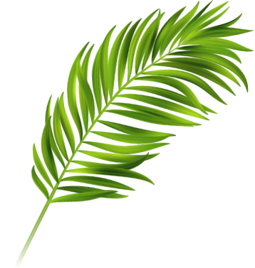 environment, environmentálne poradenstvo, životné prostredie, poradenstvo, životné prostredie poradenstvo, ekológia, odpady, odpadové hospodárstvo, ochrana ovzdušia, ochrana vôd, systémy riadenia